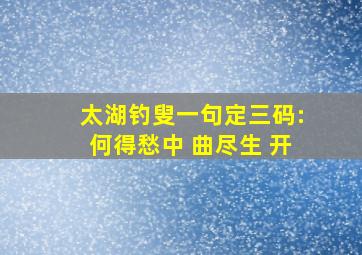 太湖钓叟一句定三码:何得愁中 曲尽生 开